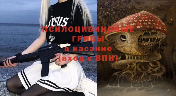 твердый Абинск