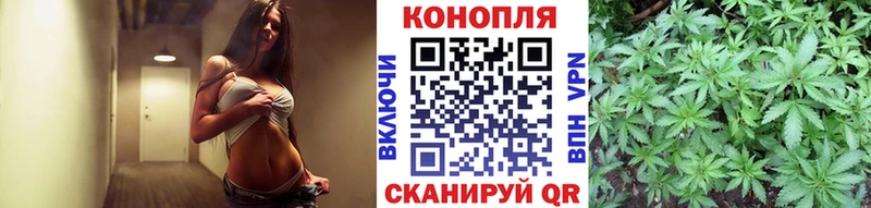 Бошки марихуана AK-47  магазин продажи наркотиков  Эртиль 